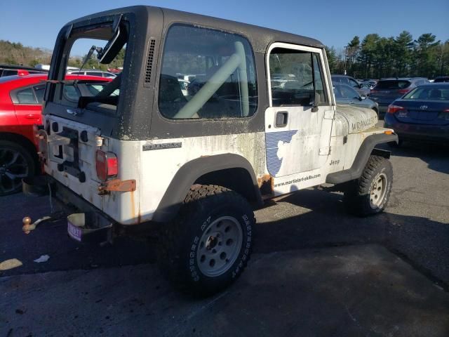 1991 Jeep Wrangler / YJ S