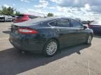 2013 Ford Fusion SE Hybrid