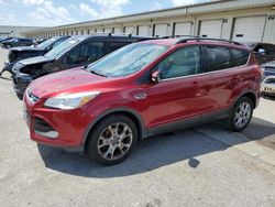 2013 Ford Escape SEL en venta en Louisville, KY