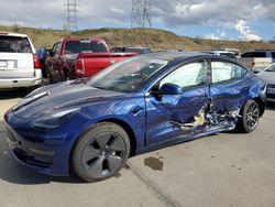 2023 Tesla Model 3 for sale in Littleton, CO