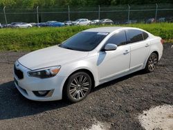 KIA Cadenza salvage cars for sale: 2015 KIA Cadenza Premium