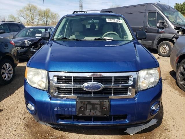 2008 Ford Escape XLT