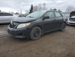 2009 Toyota Corolla Base for sale in Bowmanville, ON