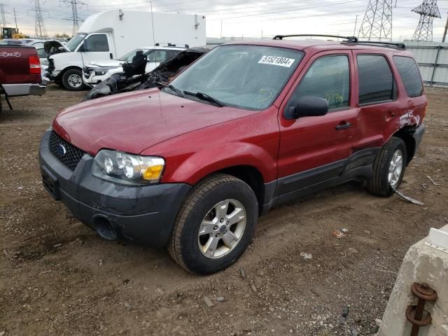 2006 Ford Escape XLT