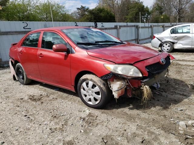 2010 Toyota Corolla Base