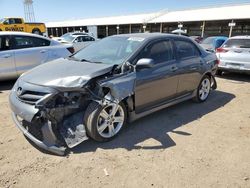 Toyota Corolla salvage cars for sale: 2013 Toyota Corolla Base