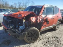 2018 Jeep Renegade Trailhawk for sale in Leroy, NY