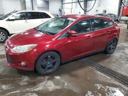 2014 Ford Focus SE for sale in Ham Lake, MN