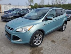 Ford Vehiculos salvage en venta: 2013 Ford Escape SEL