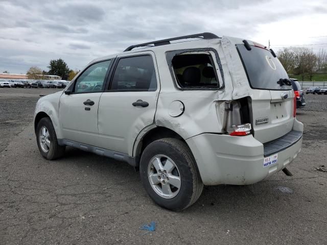 2009 Ford Escape XLT