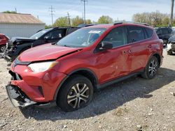 Toyota Vehiculos salvage en venta: 2016 Toyota Rav4 LE