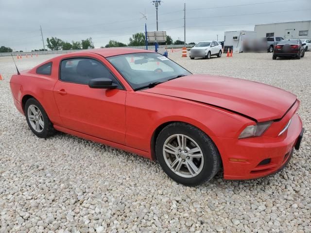 2013 Ford Mustang