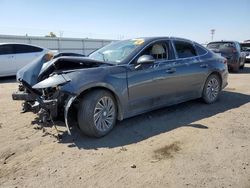 2023 Hyundai Sonata Hybrid en venta en Bakersfield, CA