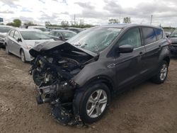 2013 Ford Escape SE en venta en Des Moines, IA
