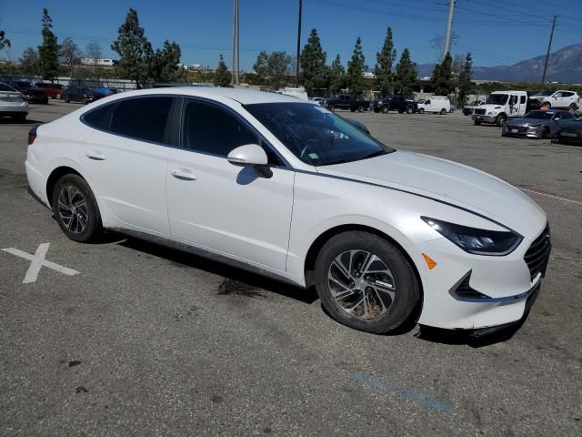 2022 Hyundai Sonata Hybrid