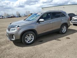 Vehiculos salvage en venta de Copart Rocky View County, AB: 2014 KIA Sorento LX