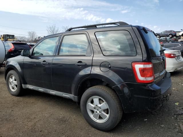 2011 Ford Escape XLS