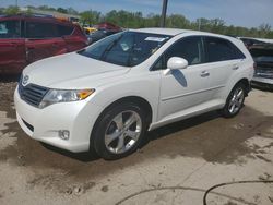 2009 Toyota Venza en venta en Louisville, KY