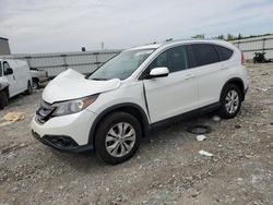 Honda salvage cars for sale: 2013 Honda CR-V EXL