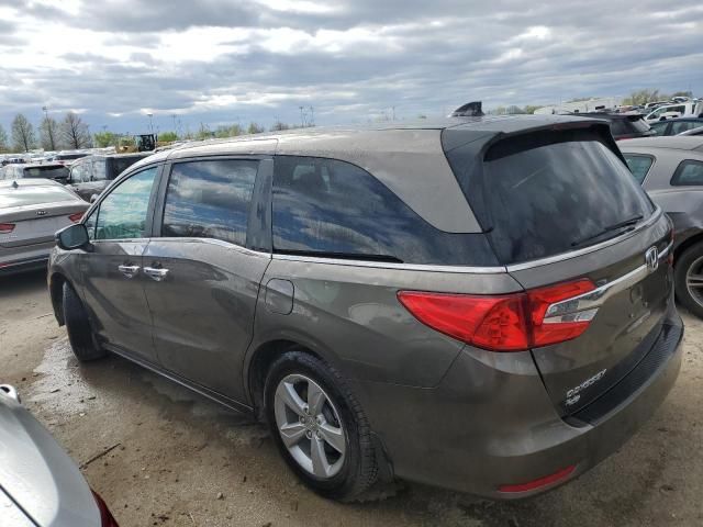 2019 Honda Odyssey EXL