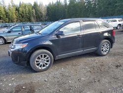 Ford Edge salvage cars for sale: 2013 Ford Edge Limited