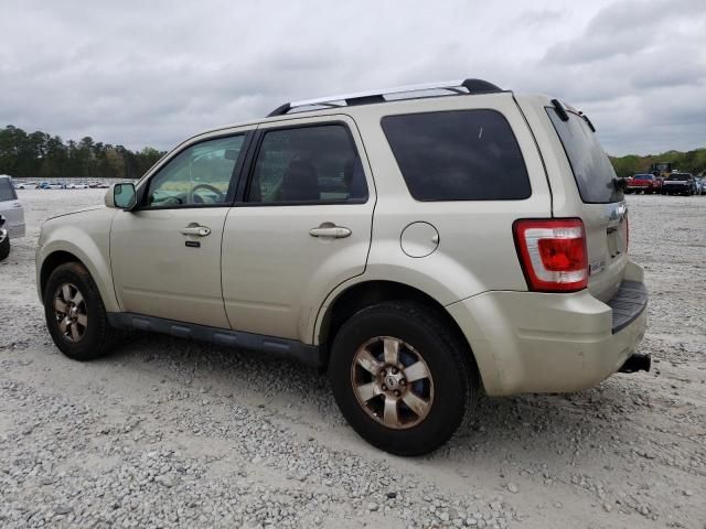 2010 Ford Escape Limited