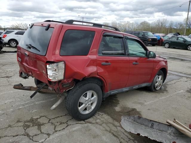 2010 Ford Escape XLT