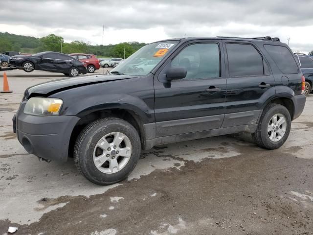 2006 Ford Escape XLT