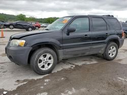 2006 Ford Escape XLT en venta en Lebanon, TN