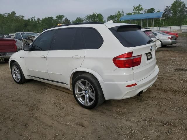 2010 BMW X5 M