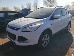 2014 Ford Escape SE en venta en Elgin, IL