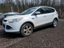 2016 Ford Escape SE en venta en Bowmanville, ON