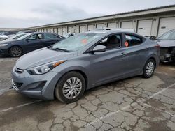 2016 Hyundai Elantra SE en venta en Louisville, KY