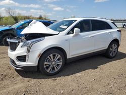 Salvage cars for sale from Copart Columbia Station, OH: 2022 Cadillac XT5 Premium Luxury