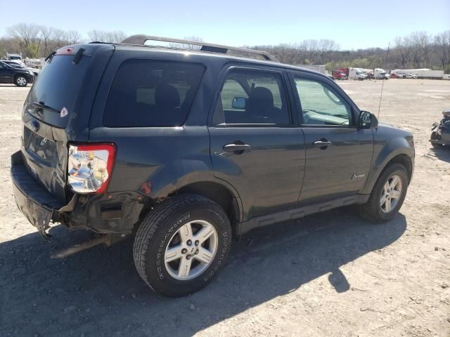 2009 Ford Escape Hybrid