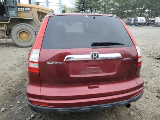 2010 Honda CR-V EXL