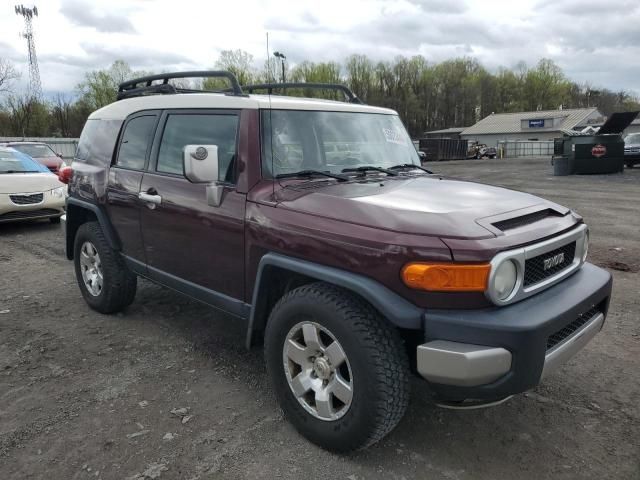 2007 Toyota FJ Cruiser