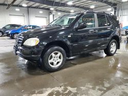 2000 Mercedes-Benz ML 320 for sale in Ham Lake, MN