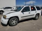 2004 Chevrolet Trailblazer LS