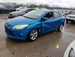 2014 Ford Focus SE en venta en Louisville, KY