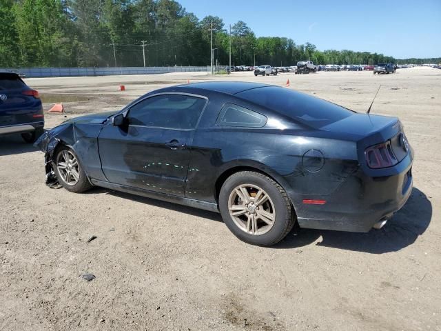 2014 Ford Mustang