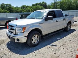 Ford f-150 salvage cars for sale: 2014 Ford F150 Supercrew