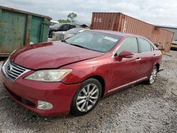 Lexus salvage cars for sale: 2010 Lexus ES 350