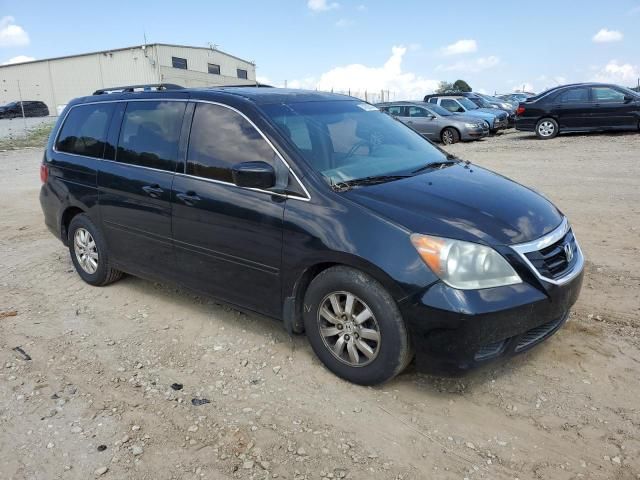 2008 Honda Odyssey EXL