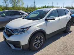 2020 Honda CR-V EX for sale in Bridgeton, MO