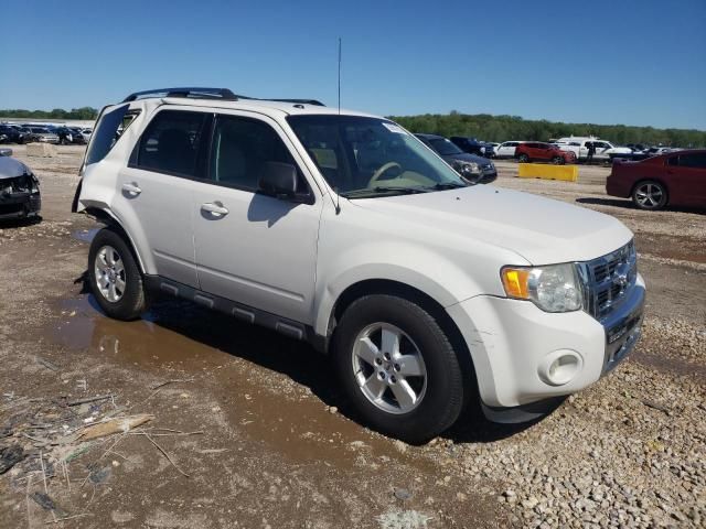 2011 Ford Escape Limited