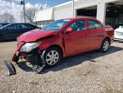 Toyota salvage cars for sale: 2010 Toyota Corolla Base