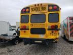 2013 Blue Bird School Bus / Transit Bus