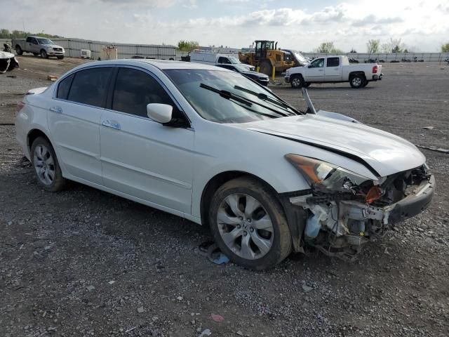 2010 Honda Accord EXL