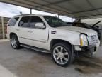 2010 Cadillac Escalade Luxury